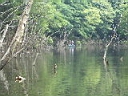 2005-07-18 005.JPG